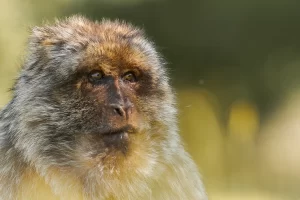 Grand Concours Photo – Été 2026