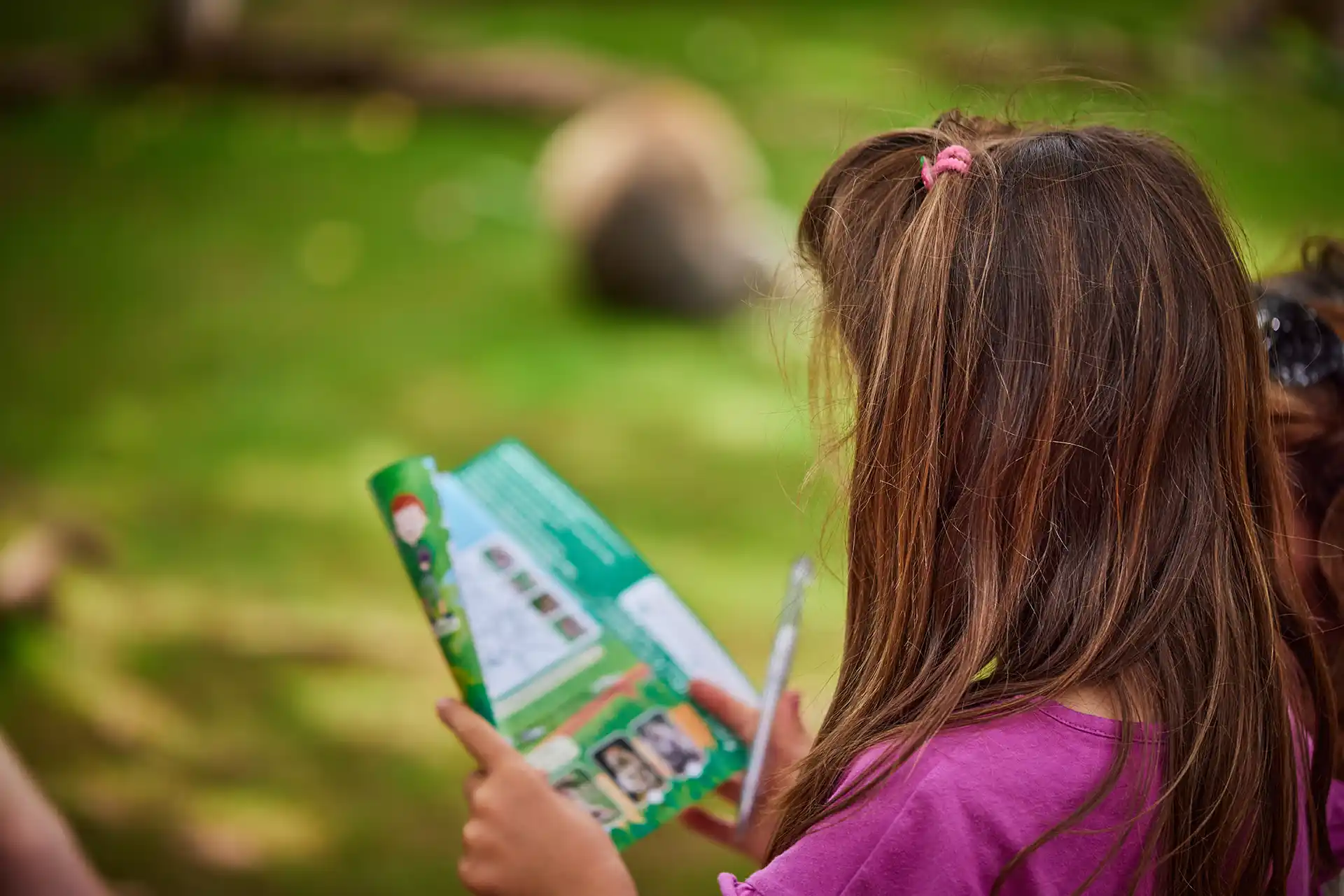 parcours foret des singes