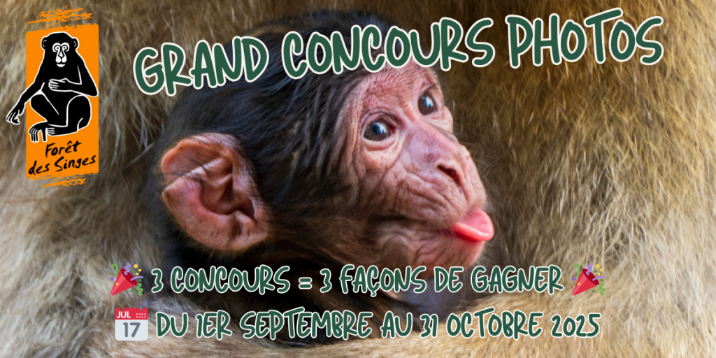 đž Grand Concours Photo â Automne 2025