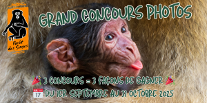 (FR) 📸 Grand Concours Photo – Automne 2025