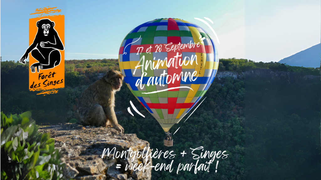 (FR) Animations d’automne à la Forêt des Singes