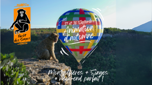 (FR) Animations d’automne à la Forêt des Singes