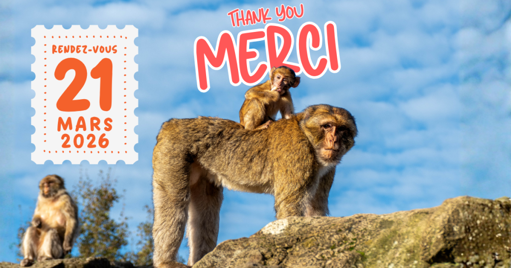 A wonderful season comes to an end at the Forêt des Singes 🌿