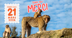 A wonderful season comes to an end at the Forêt des Singes 🌿