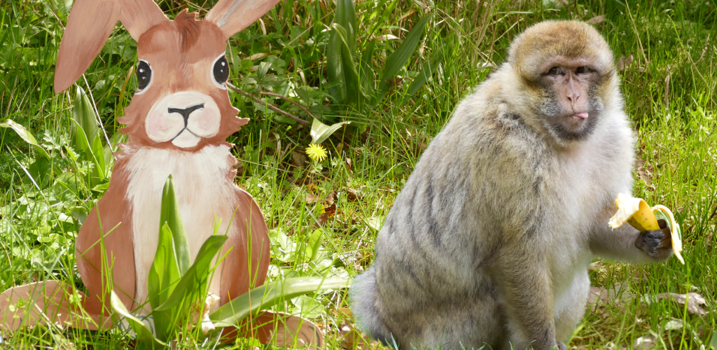 🐣 Chasse au trésor de Pâques