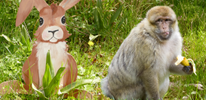 🐣 Chasse au trésor de Pâques