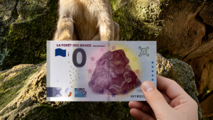 Billet touristique 0€ : un nouveau souvenir à collectionner à la Forêt des Singes 🐒🎫