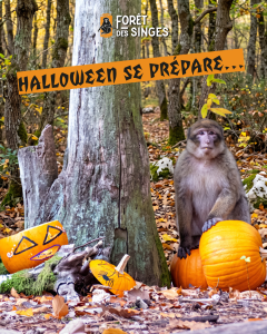 (FR) Halloween 2026